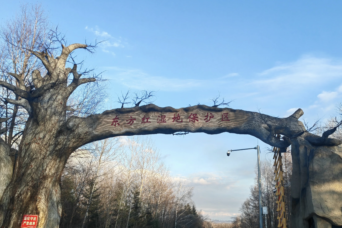 Oriental Red Wetland